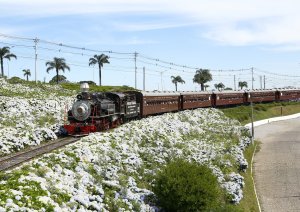 Passeio de Trem - Maria Fumaça
