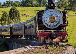 Passeio de Trem - Maria Fumaça