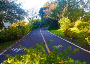 Ciclovia