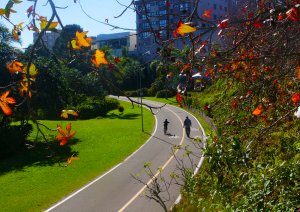 Ciclovia