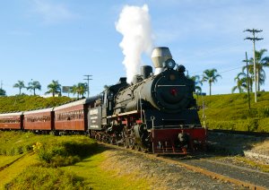 Passeio de Trem - Maria Fumaça